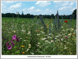 Gelsenkirchen-Resse im Juni 2020