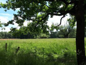 Gelsenkirchen-Resse im Juni 2020