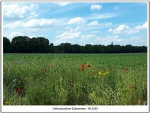 Gelsenkirchen-Resse im Juni 2020