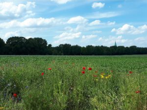 Gelsenkirchen-Resse im Juni 2020