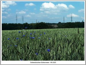 Gelsenkirchen-Resse im Juni 2020