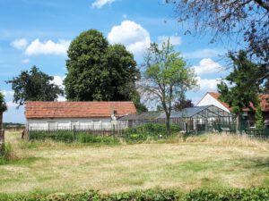 Gelsenkirchen-Resse im Juni 2020