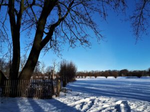 Winter in Gelsenkirchen Resse im Februar 2021