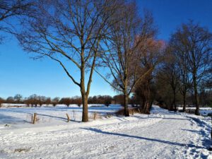 Winter in Gelsenkirchen Resse im Februar 2021