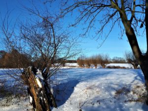 Winter in Gelsenkirchen Resse im Februar 2021