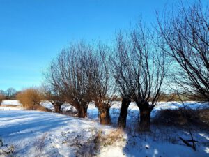 Winter in Gelsenkirchen Resse im Februar 2021
