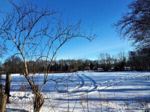 Winter in Gelsenkirchen Resse im Februar 2021