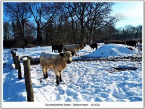 Winter in Gelsenkirchen Resse im Februar 2021