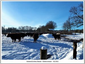 Winter in Gelsenkirchen Resse im Februar 2021