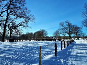 Winter in Gelsenkirchen Resse im Februar 2021