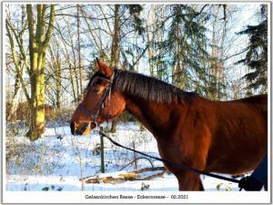 Winter in Gelsenkirchen Resse im Februar 2021