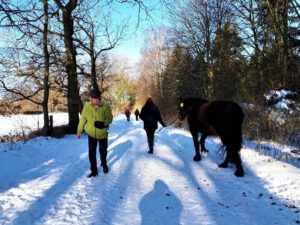 Winter in Gelsenkirchen Resse im Februar 2021