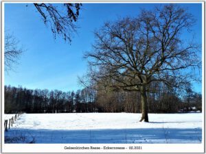 Winter in Gelsenkirchen Resse im Februar 2021