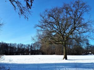 Winter in Gelsenkirchen Resse im Februar 2021
