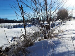 Winter in Gelsenkirchen Resse im Februar 2021