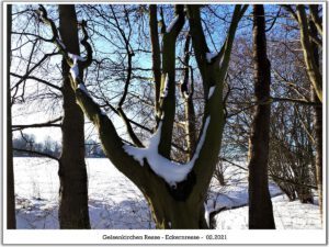 Winter in Gelsenkirchen Resse im Februar 2021