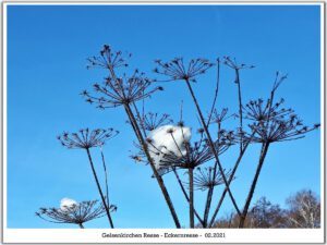 Winter in Gelsenkirchen Resse im Februar 2021