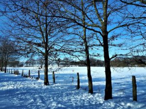 Winter in Gelsenkirchen Resse im Februar 2021
