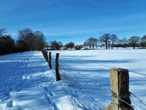 Winter in Gelsenkirchen Resse im Februar 2021