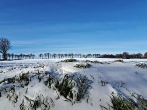 Winter in Gelsenkirchen Resse im Februar 2021