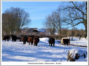 Winter in Gelsenkirchen Resse im Februar 2021