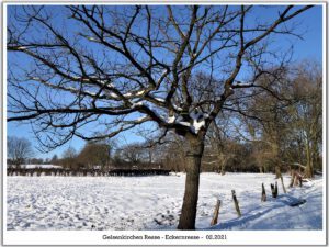 Winter in Gelsenkirchen Resse im Februar 2021