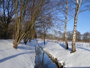 Winter in Gelsenkirchen Resse im Februar 2021