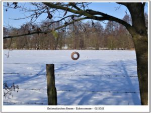 Winter in Gelsenkirchen Resse im Februar 2021