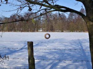 Winter in Gelsenkirchen Resse im Februar 2021