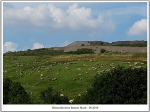 Gelsenkirchen Resser Mark im Juni 2019