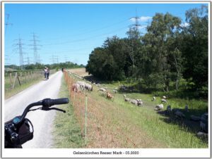 Gelsenkirchen Resser Mark im Mai 2020