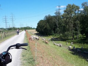 Gelsenkirchen Resser Mark im Mai 2020