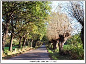 Gelsenkirchen Resser Mark im Mai 2020