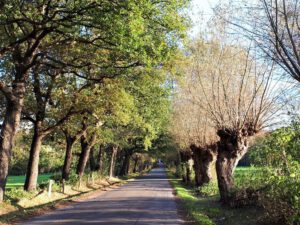 Gelsenkirchen Resser Mark im Mai 2020