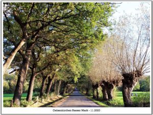 Gelsenkirchen Resser Mark im Mai 2020