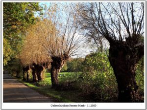 Gelsenkirchen Resser Mark im Mai 2020