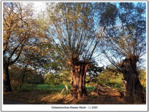 Gelsenkirchen Resser Mark im Mai 2020