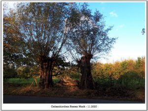 Gelsenkirchen Resser Mark im Mai 2020