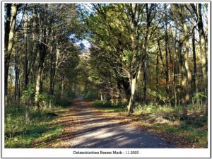 Gelsenkirchen Resser Mark im Mai 2020