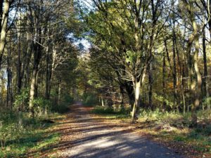 Gelsenkirchen Resser Mark im Mai 2020