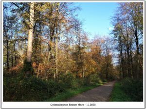 Gelsenkirchen Resser Mark im Mai 2020