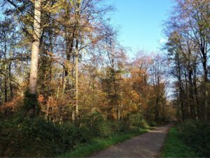 Gelsenkirchen Resser Mark im Mai 2020