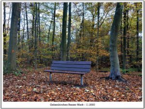 Gelsenkirchen Resser Mark im November 2020