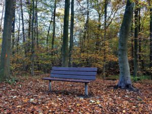 Gelsenkirchen Resser Mark im November 2020