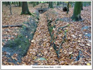 Gelsenkirchen Resser Mark im November 2020