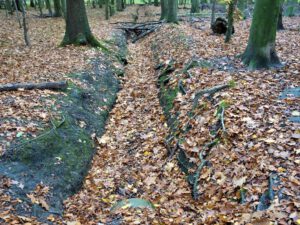 Gelsenkirchen Resser Mark im November 2020