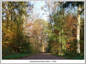 Gelsenkirchen Resser Mark im November 2020