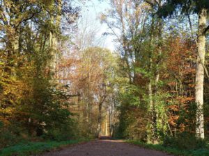 Gelsenkirchen Resser Mark im November 2020