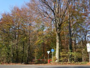 Gelsenkirchen Resser Mark im November 2020