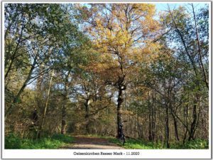 Gelsenkirchen Resser Mark im November 2020